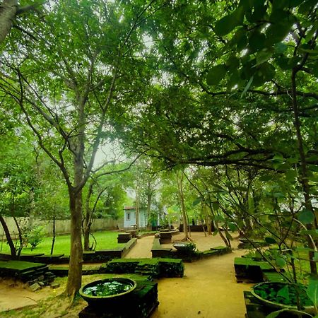 Twin Blocks Nature Resort Анурадхапура Екстериор снимка