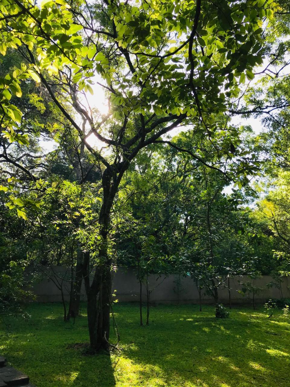 Twin Blocks Nature Resort Анурадхапура Екстериор снимка